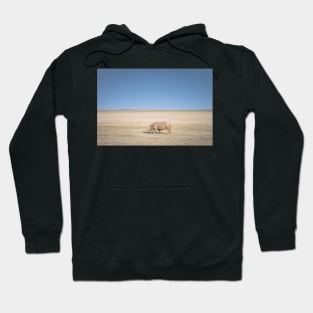 Alone on the dry sea Hoodie